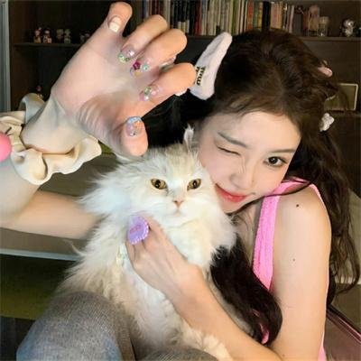 突击隆美尔